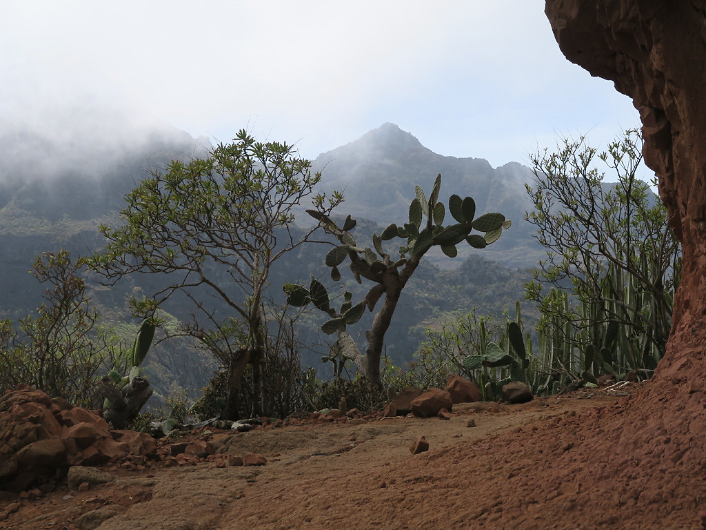 Valley near the Mountain of the Moon