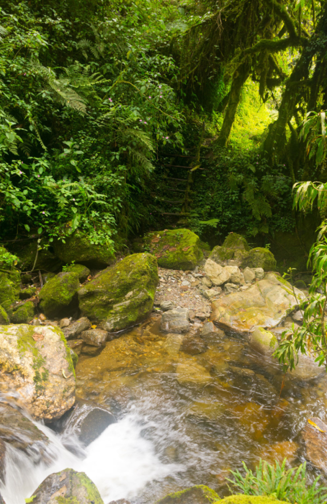 waterfall at rwenzori national park