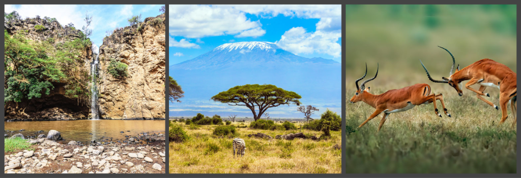 Amboseli or Hell’s Gate National Park –&nbsp;Kenya