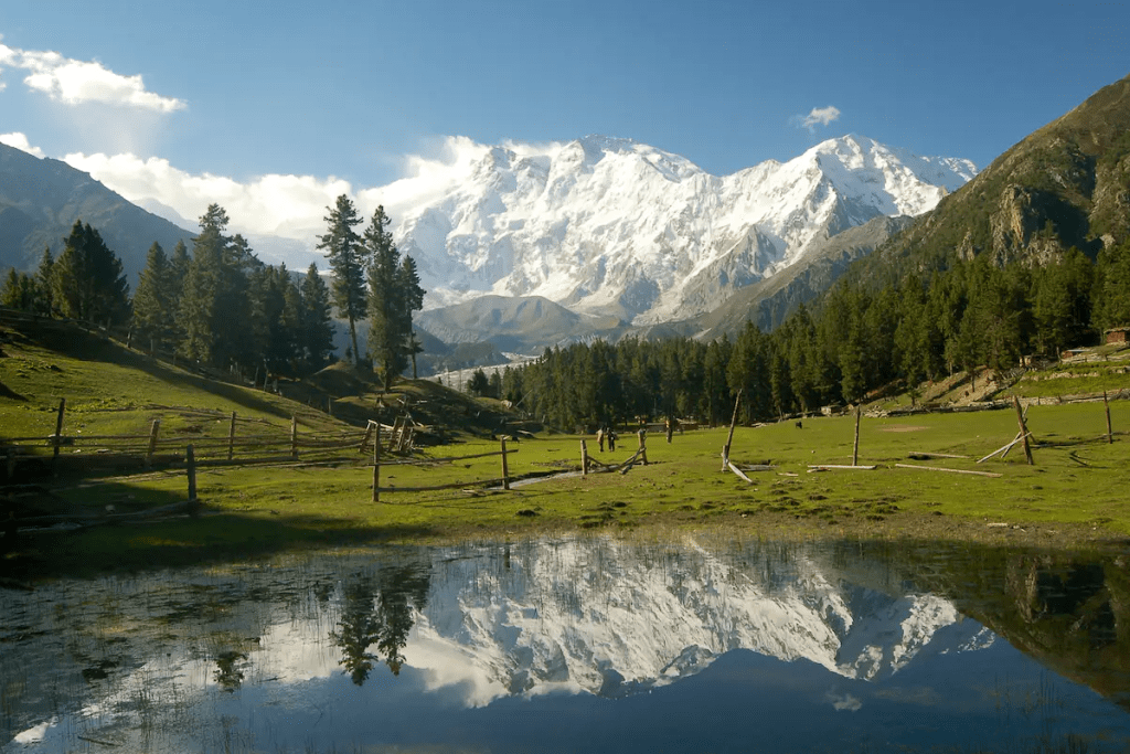 Fairy meadows of Nanga Parbat
