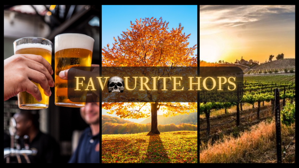 Third Annual CraftHop returns over Veteran’s Day Weekend in Temecula Valley – Favourite&nbsp;Hops