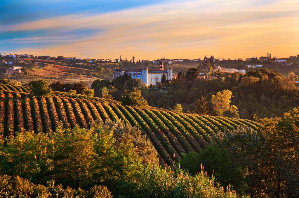 Vineyard at Temecula California