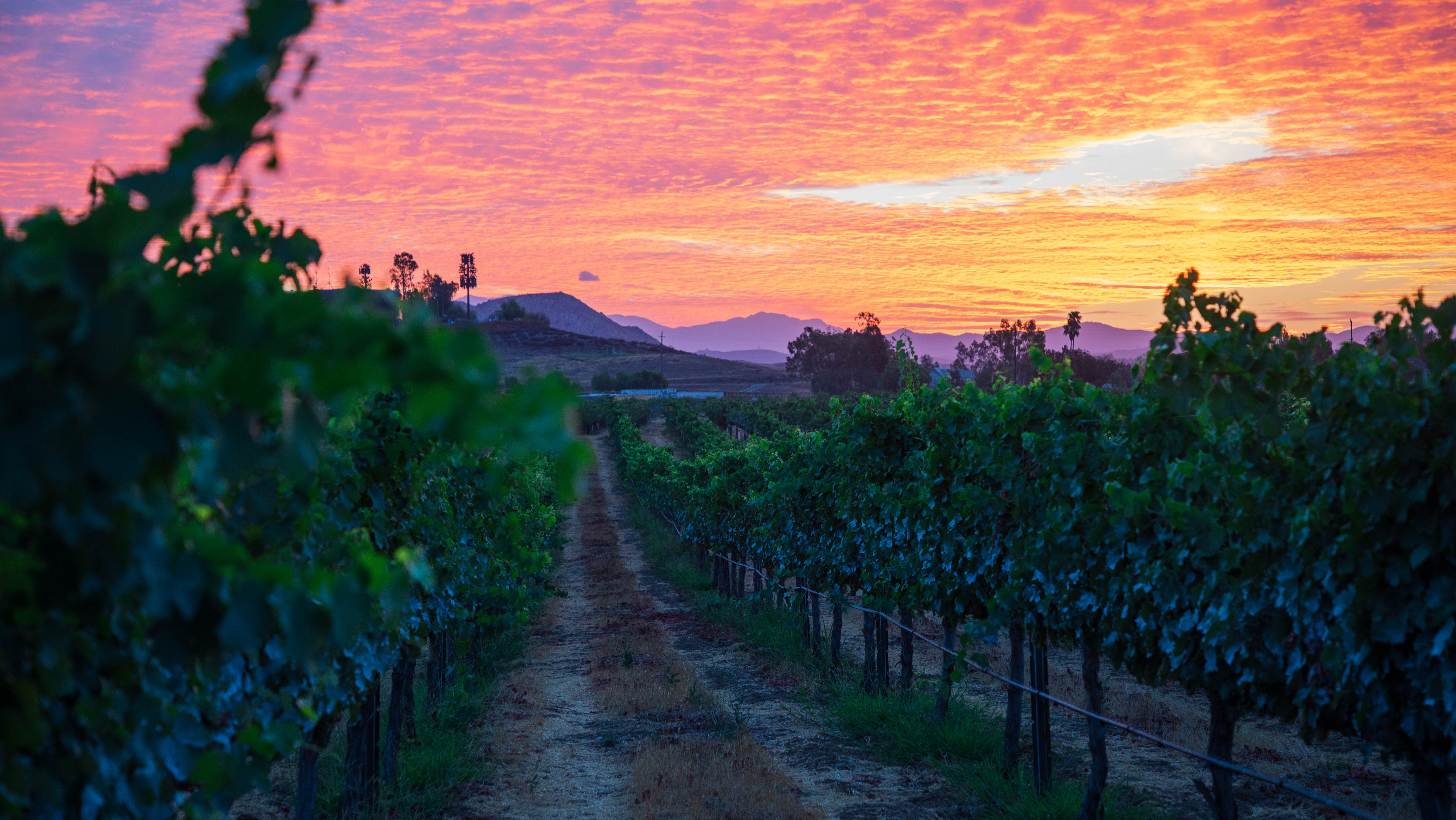 Temecula Valley near Murrieta 