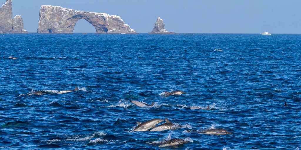 Anacapa Island Arch Rock