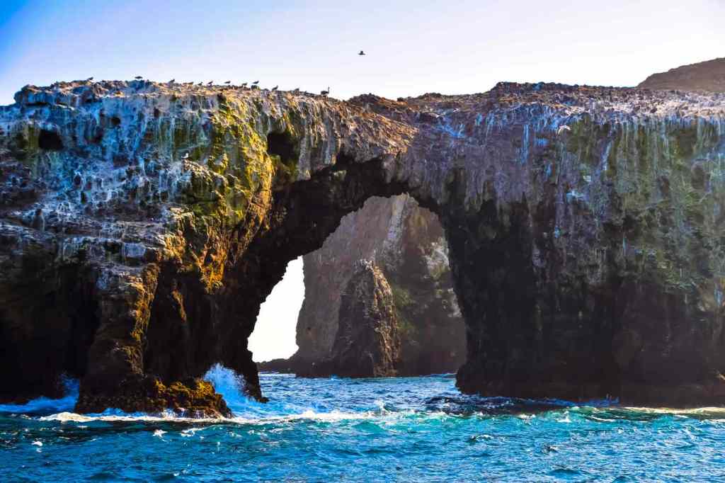 Arch Rock is a 40-foot-high natural bridge on Anacapa Island.