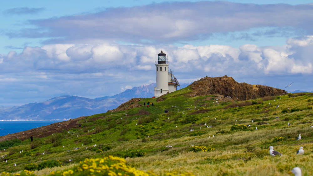Anacapa Island Lighthouse