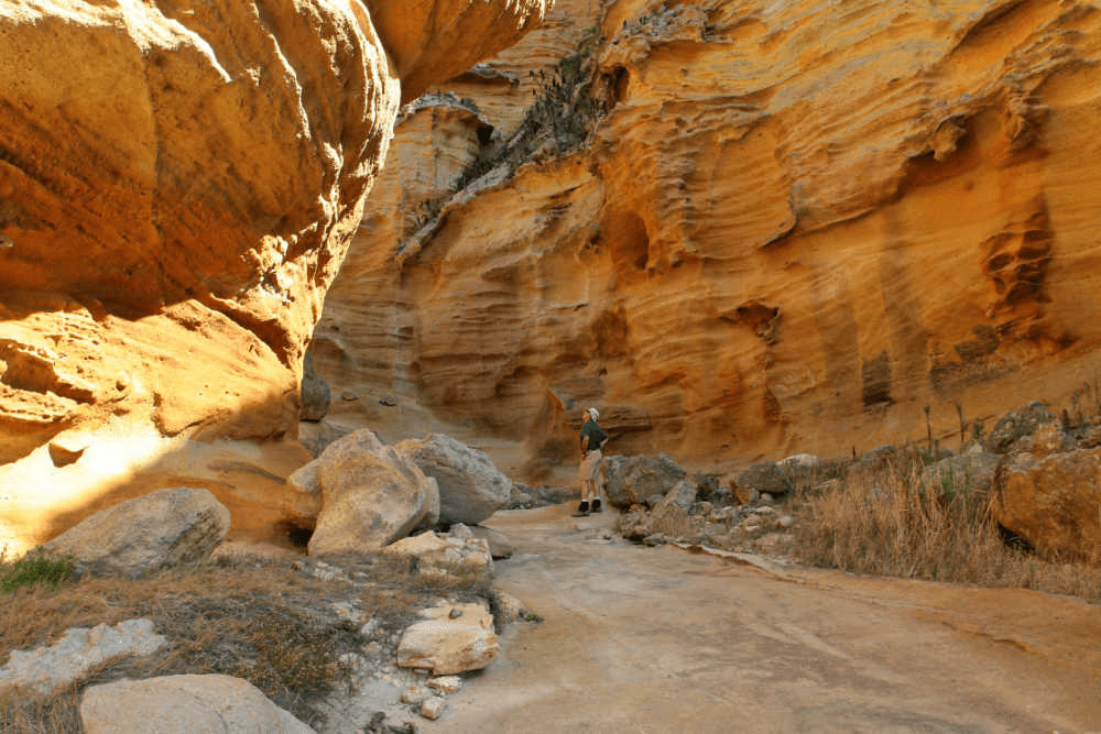 Lobo Canyon-Santa Rosa Island