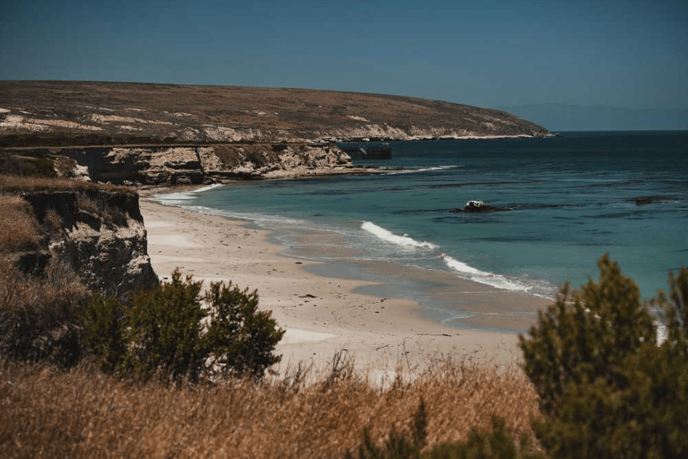Southeast Anchorage Skunk Point Marine Reserve