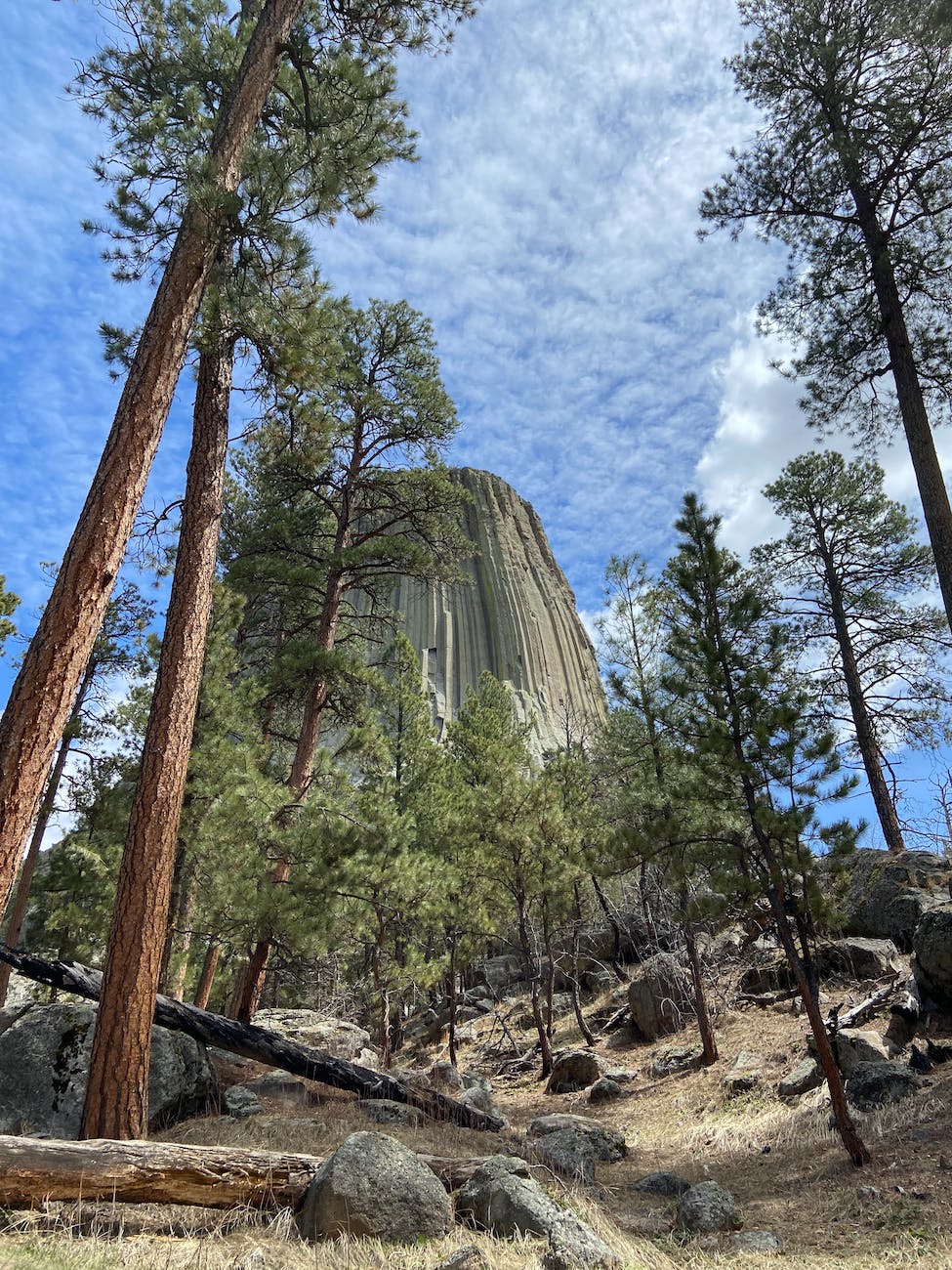 Devils Tower National Monument WY