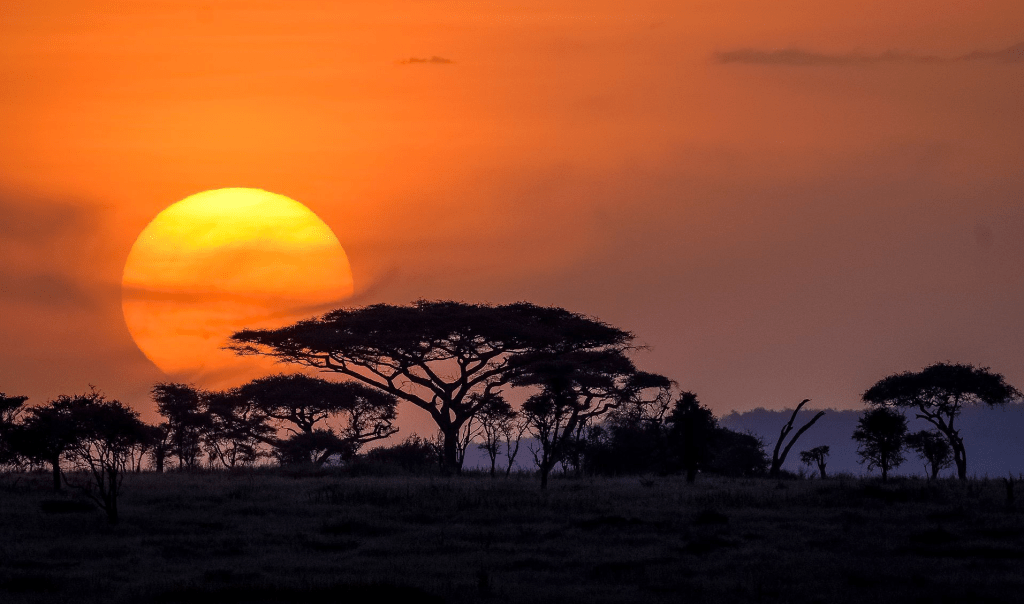 Serengeti Park at sunset