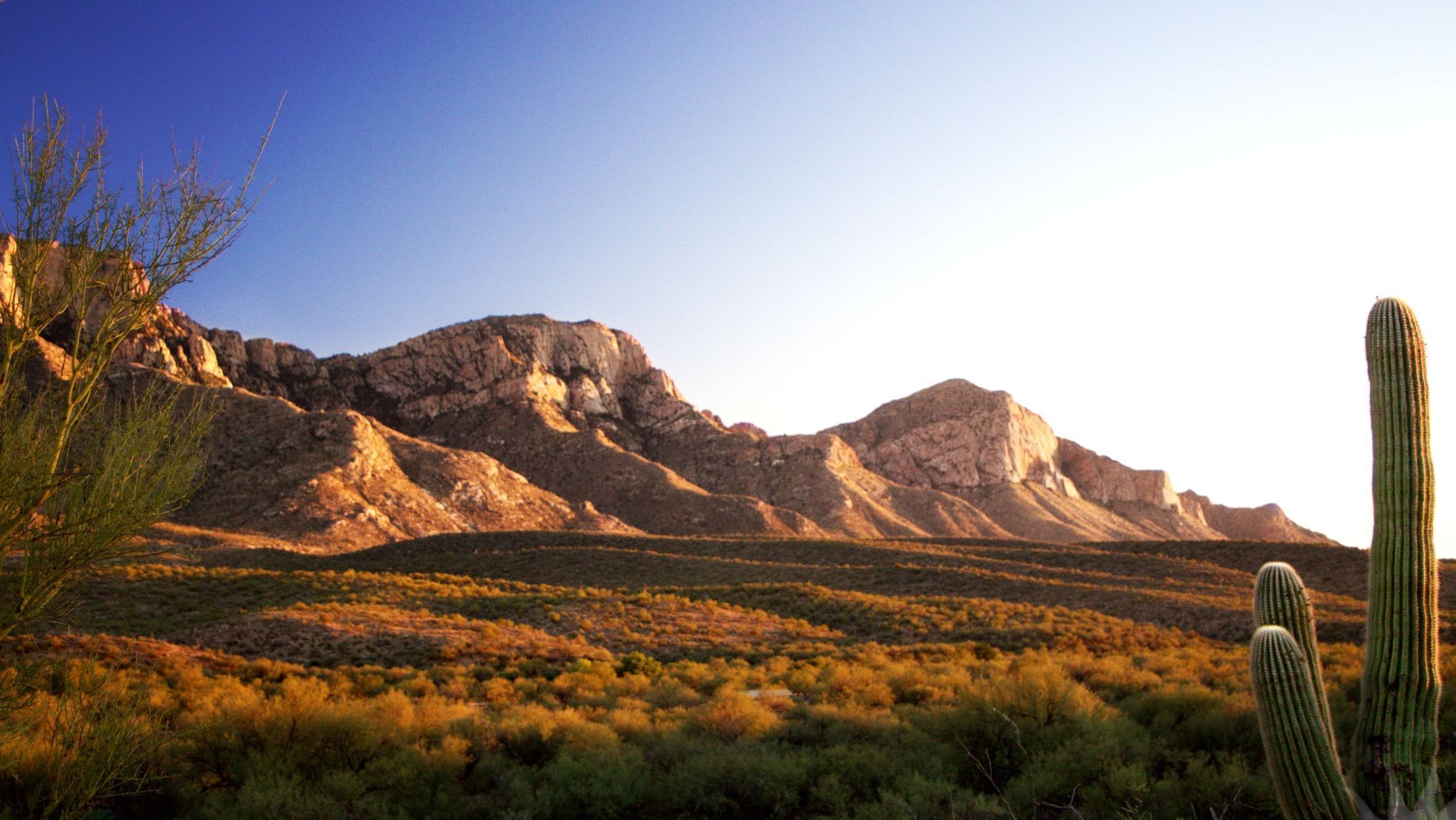 Catalina Mountains - Arizona