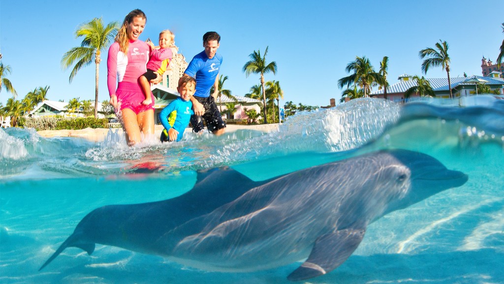 Dolphin Cay - Atlantis Resort