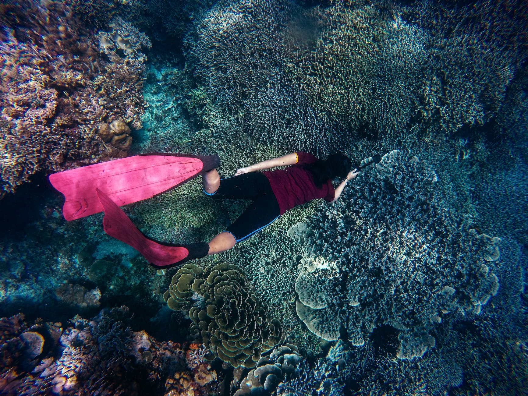 Snorkeler - Nassau