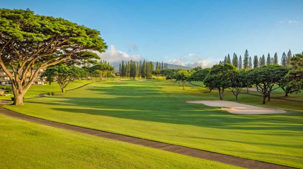 Ritz-Carlton, Kapalua Maui - Golf course
