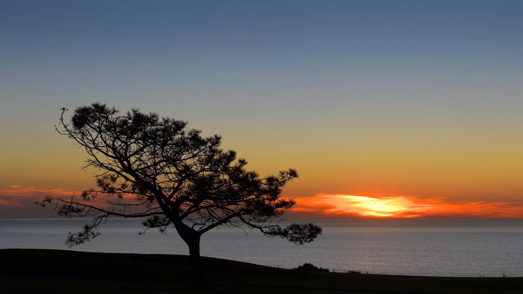 THE LODGE AT TORREY PINES - La Jolla, California at sunset