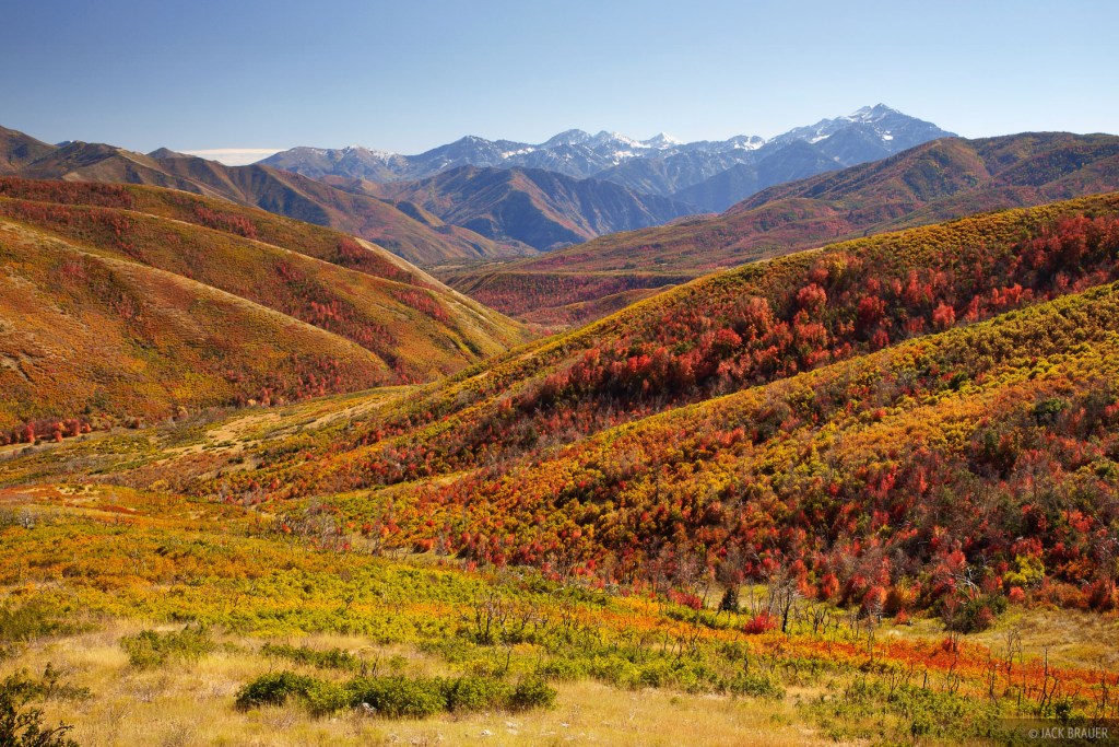 Autumn colors near Cascade Mountains Springs in the eastern foothills of the Wasatch Range of Utah in October.  