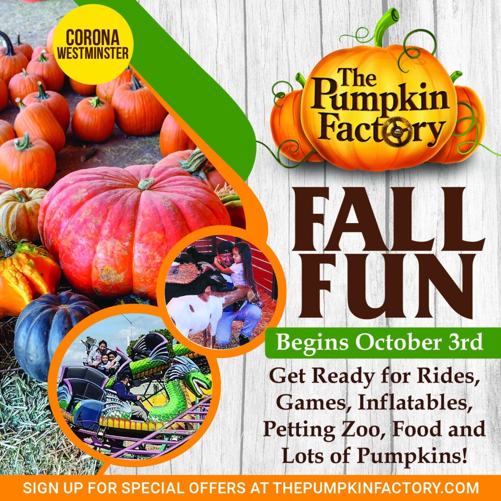 PUMPKIN FACTORY CORONA