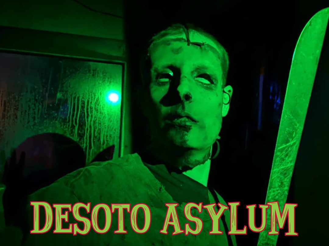 DESOTO ASYLUM NEEDLES